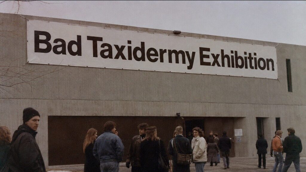FAKEART – Bad Taxidermy Exhibition